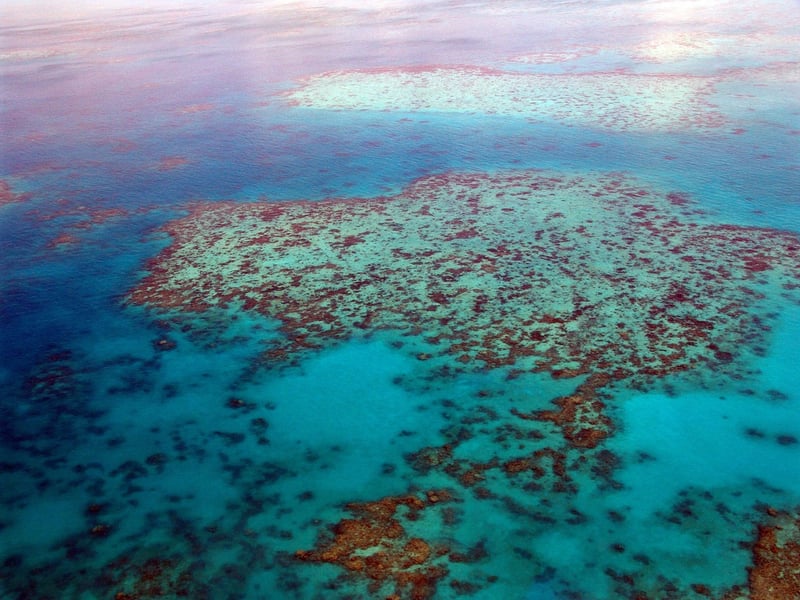 Great Barrier Reef in Australia